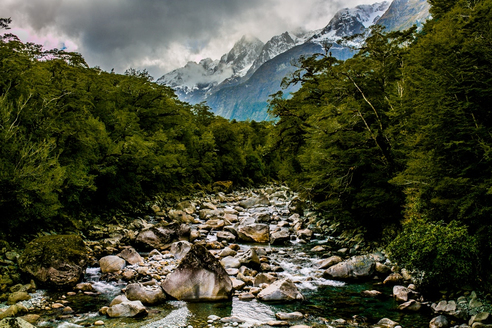 NZ mountain and creek