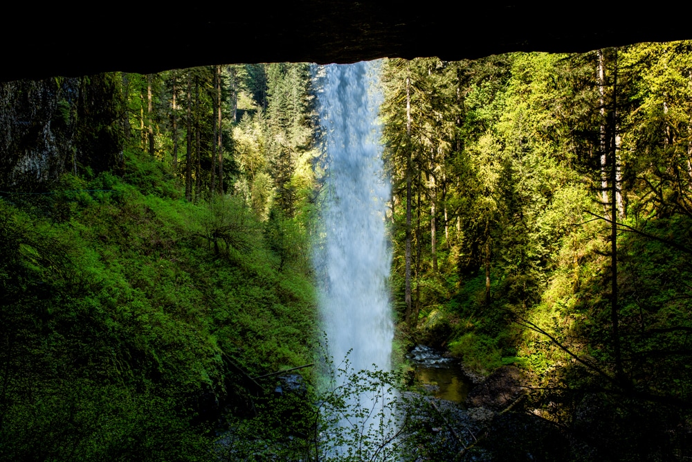 Silver Falls State Park OR 0096