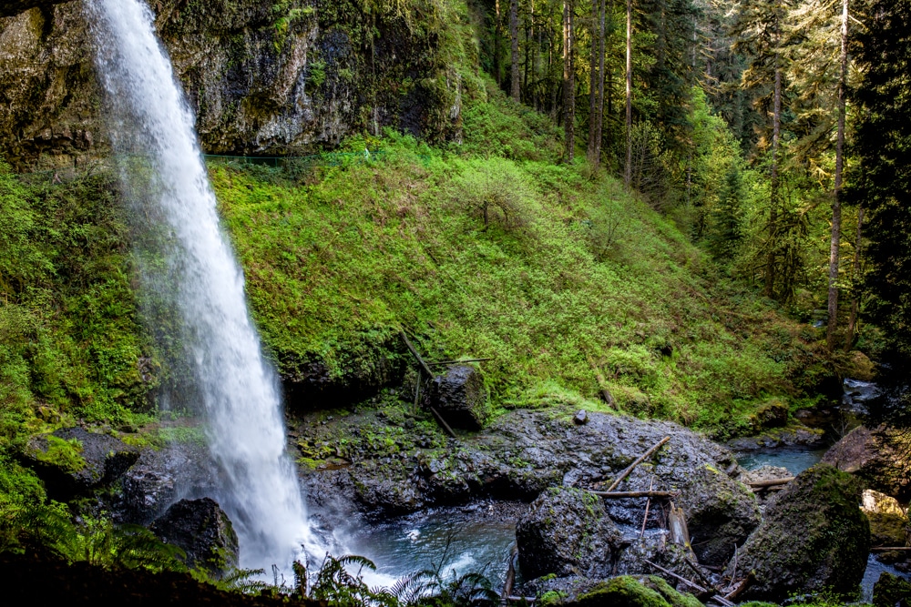Silver Falls State Park OR 0098