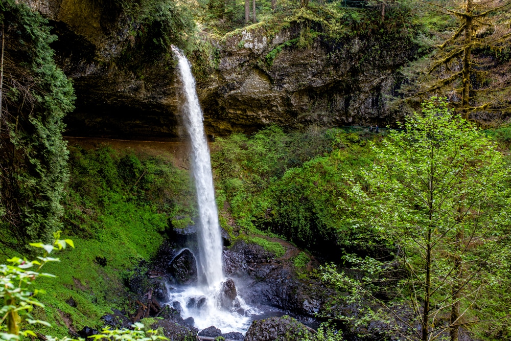 Silver Falls State Park OR 0099